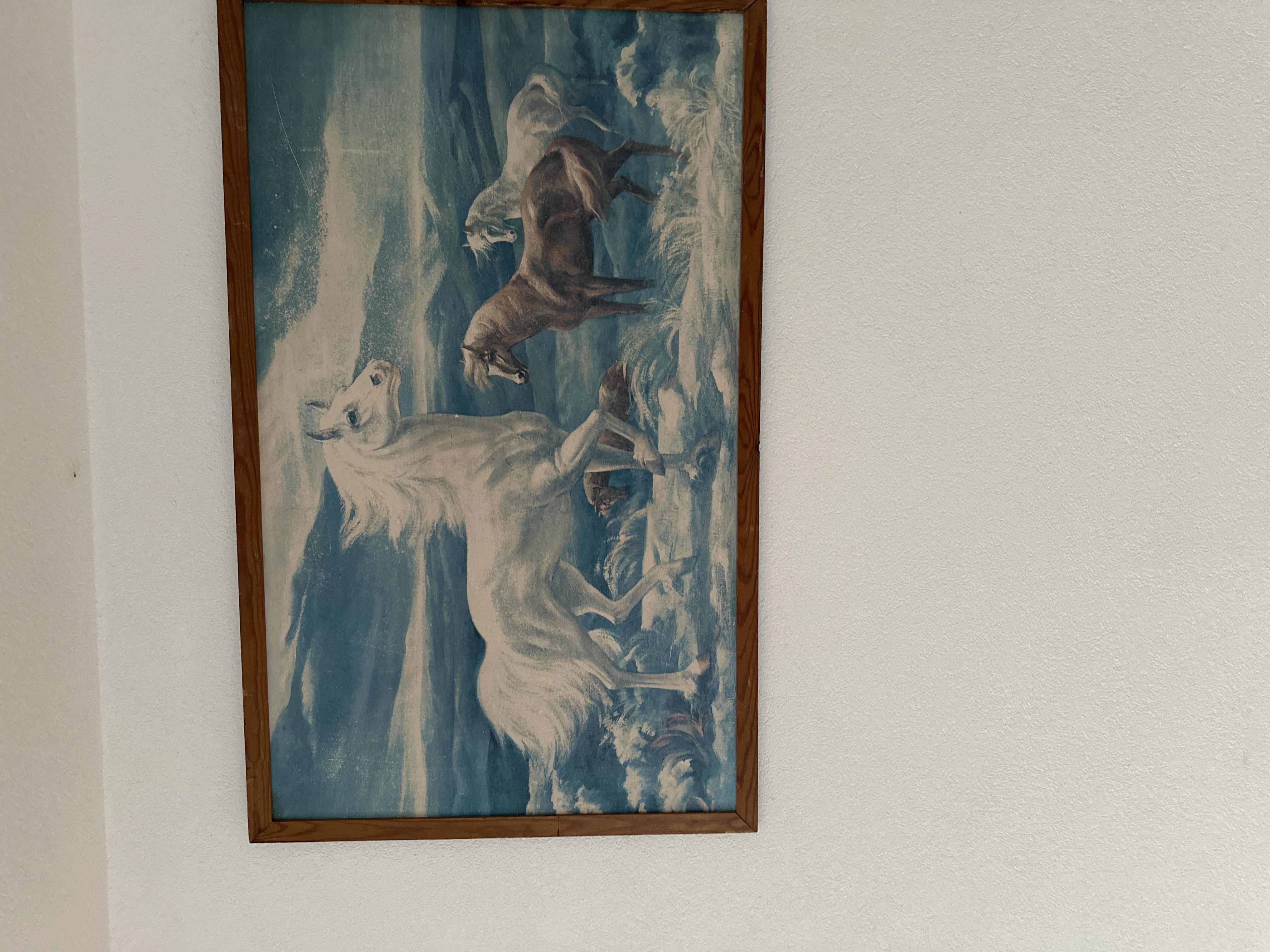 Zwei Bilder